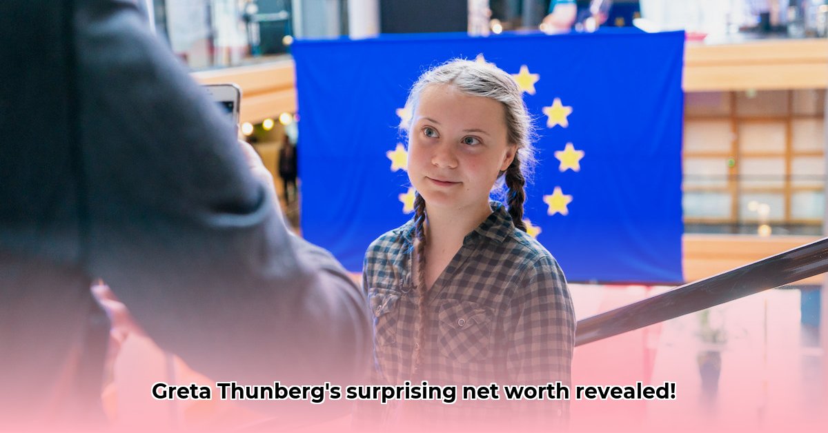 what-is-greta-thunberg-s-net-worth